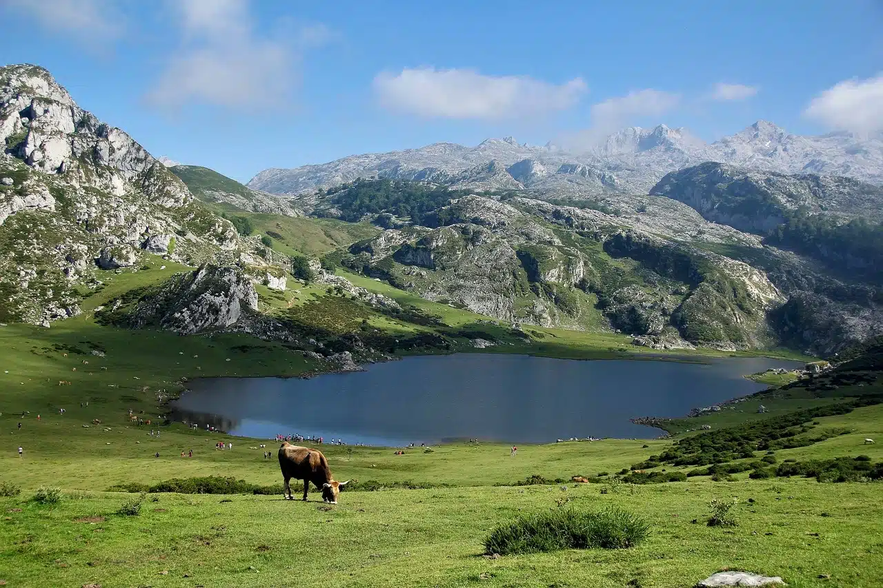 Photo des Hautes Pyrénées