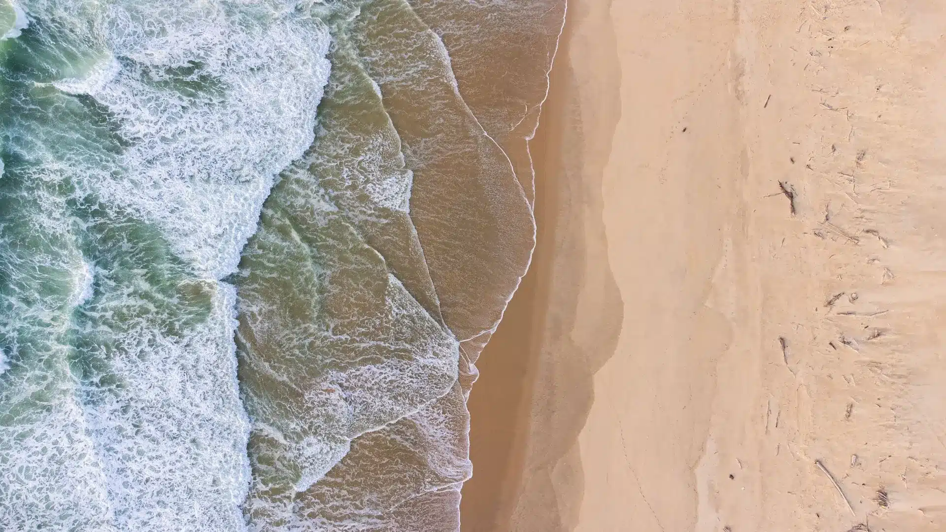 vue plongeante sur une plage des Landes